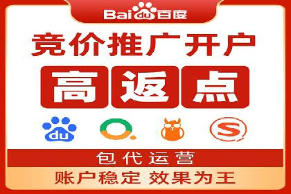 案例解析：揭秘高效竞价推广技巧