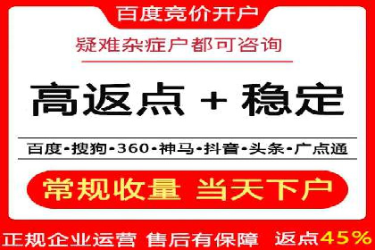 百度推广运营成功故事：品牌与效果的双重胜利